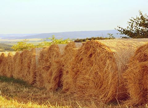 تصویر 4 از خرید خوراک دام کرج + قیمت فروش استثنایی